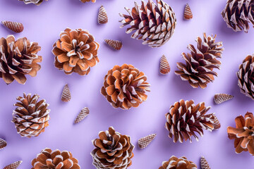 Fototapeta na wymiar Several pine cones on a purple background top view, flat lay, natural decoration with pine cones for winter holiday concept