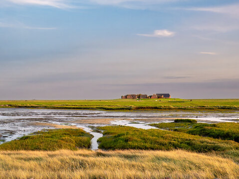 Ockelutzwarft on Hallig Hooge, North Frisia, Schleswig-Holstein, Germany