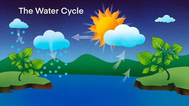 The water cycle diagram, representation of the water cycle in nature, Water cycle process on Earth, Hydrologic cycle, Biogeochemical cycle for education, Geo science ecosystem scheme