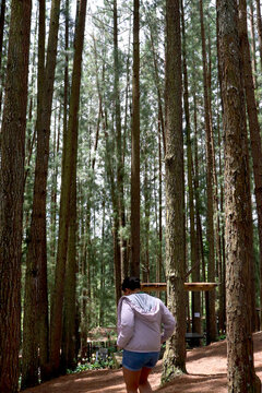Woman in a Pine Forest in Bukidnon
