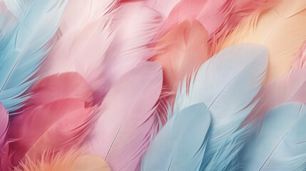 Feathers texture background pastel colors