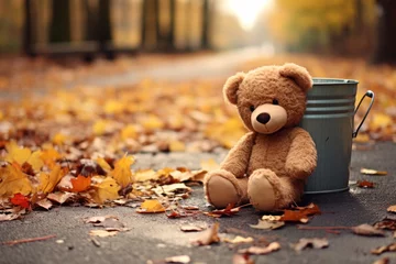 Foto auf Acrylglas Lonely teddy bear peacefully nestled among vibrant autumn leaves, quaint metal bucket in serene park scene with soft blur of foliage adding touch of nostalgia and tranquility. © katrin888