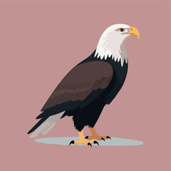 clothing donation flat vector illustration