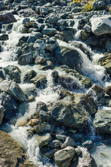 small shallow beautiful alpine stream with a fast flow and stones - 750019142