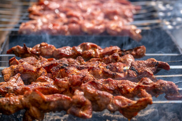 Meat kebab on skewers on coals in the grill.