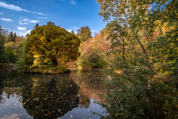 Fototapeta na wymiar Trees and bushes around a small lake on an autumn day.