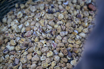 CASTAGNE SECCHI LA MACINA