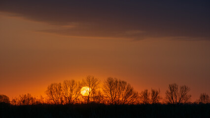 sunset over the field