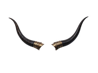 a pair of devil horns with gold rims are displayed together.