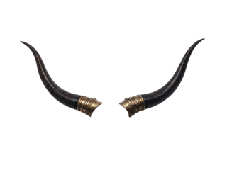 a pair of devil horns with gold rims are displayed together.