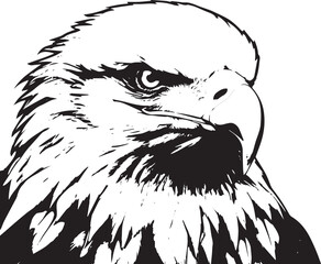 Premium Black And White Bold Eagle Drawing Vector Illustration