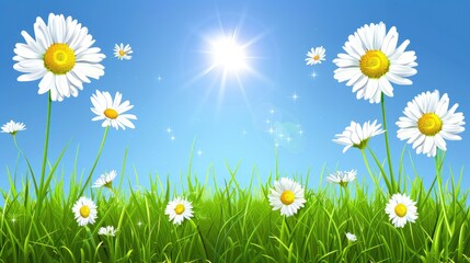 Fototapeta na wymiar Daisies in the grass against a background of blue sky and bright sun. Summer floral card, banner