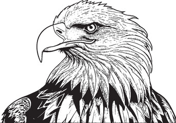 Premium Black And White Bold Eagle Drawing Vector Illustration