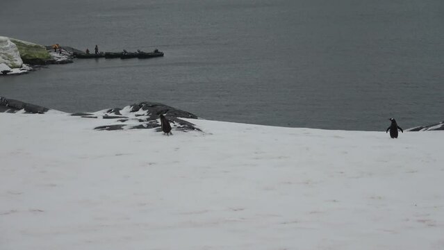 Port Charcot Antarctica