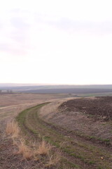 Obraz premium A field with grass and a dirt road with a large tornado in the background