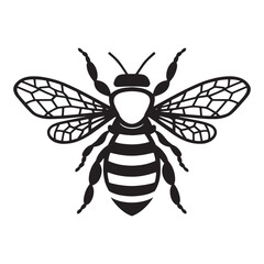 Honey Bee silhouette, Honey Bee Icon On White Background, Graphic illustration Vector Silhouette.