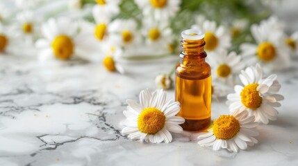Obraz na płótnie Canvas Chamomile Essential Oil in a Glass Bottle, Resting on a Luxurious Marble Background. Close-up of Chamomile Flowers, Perfect for Spa and Herbal Medicine Treatments