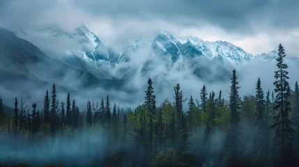 Printed kitchen splashbacks Forest in fog Landscape nature mountain forest view