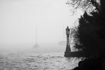 pier of Au, Wädenswil, zurich lake black and white in the fog landscape - obrazy, fototapety, plakaty