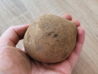 One raw potato on hand.