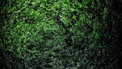 Green and black textured Upclose mossy swamp water