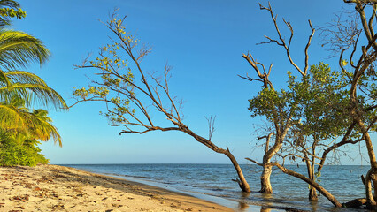 Afternoon landscape at Castelhanos Beach, Bahia, BR
