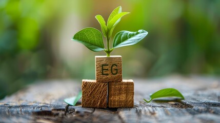 Fototapeta na wymiar SustainaBlock ESG: Foundations of Environmental, Social, Governance