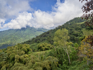Fototapeta premium The green mountains of the Sierra Nevada. Minca. Colombia.
