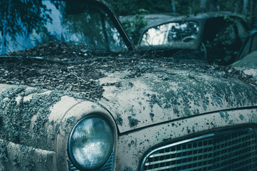 Old Car Overgrown With Moss and Dirt