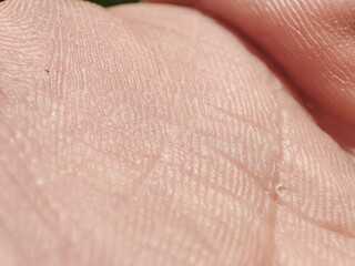 Caucasian super macro hand. Helthy abstract skin. Dermatology concept. - 750053389