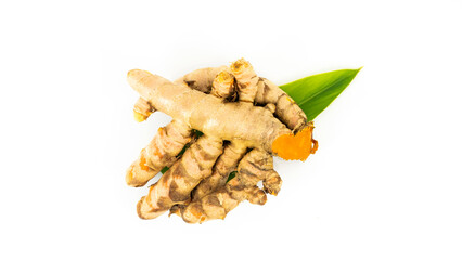 Fresh turmeric roots