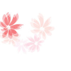 Falling cherry blooming flower parts vector..