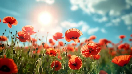 Zelfklevend Fotobehang red poppy field © Olha