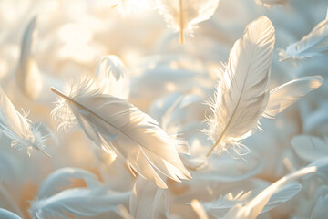 White feathers flying through the air  background wallpaper