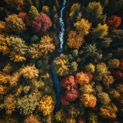 A beautiful autumn forest with a river running through it. The trees are full of vibrant colors, creating a warm and inviting atmosphere. The river adds a sense of tranquility