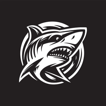 shark logo vector illustration