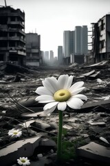 flower among the destroyed city