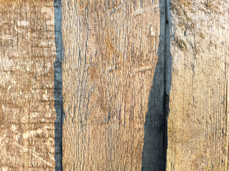 texture wood illuminated in the sun vertical boards