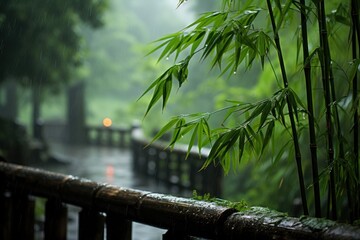 Bamboo tree standing in the rain on a wet day