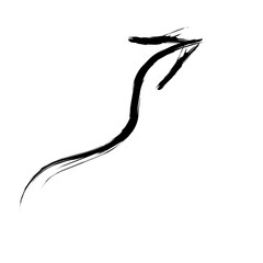 Hand Drawn Arrow Brush
