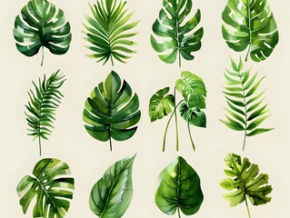 Fotobehang Tropische bladeren Green Leaf Art: Diverse Illustrations for Sustainable Messages
