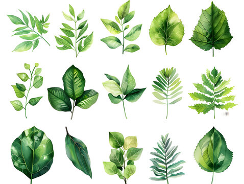 Abstract Leaf Interpretations: Expressive Art for Environmental Stewardship