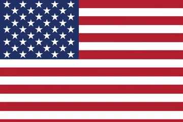 Foto op Plexiglas American flag © Sansha Creation