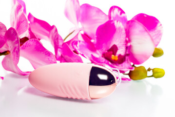 pink vibrating egg next to an artificial branch of orchid flowers on a white background