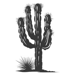 Silhouette cactus plant black color only