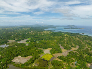 Fototapeta na wymiar Tropcial Island with paddy fields and green hills. Santa Fe, Tablas, Romblon. Philippines.