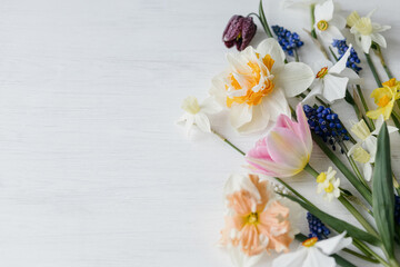 Stylish spring flowers flat lay on rustic white table, space for text. Hello spring, floral banner. Beautiful daffodils and tulips bouquet border on wood. Happy womens day and Mothers day