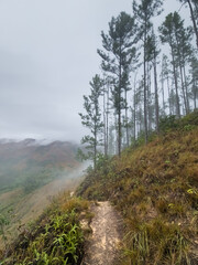 Caminata por la montaña, naturaleza y cascadas Panama