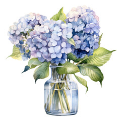 Bouquet of hydrangea flowers in a clear vase watercolor illustration clipart isolate on transparent background