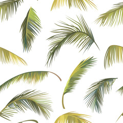 Seamless pattern of green date palm leaves on white background - 750096952